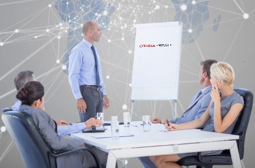 NetSuite for it companies